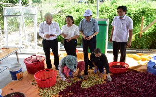 Thừa Thiên Huế: Xây dựng chuỗi giá trị để OCOP trở thành sản phẩm chủ lực địa phương